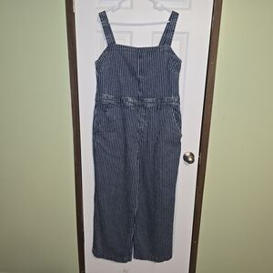 Universal Thread Blue and White Striped Overalls